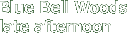 Blue Bell Woods